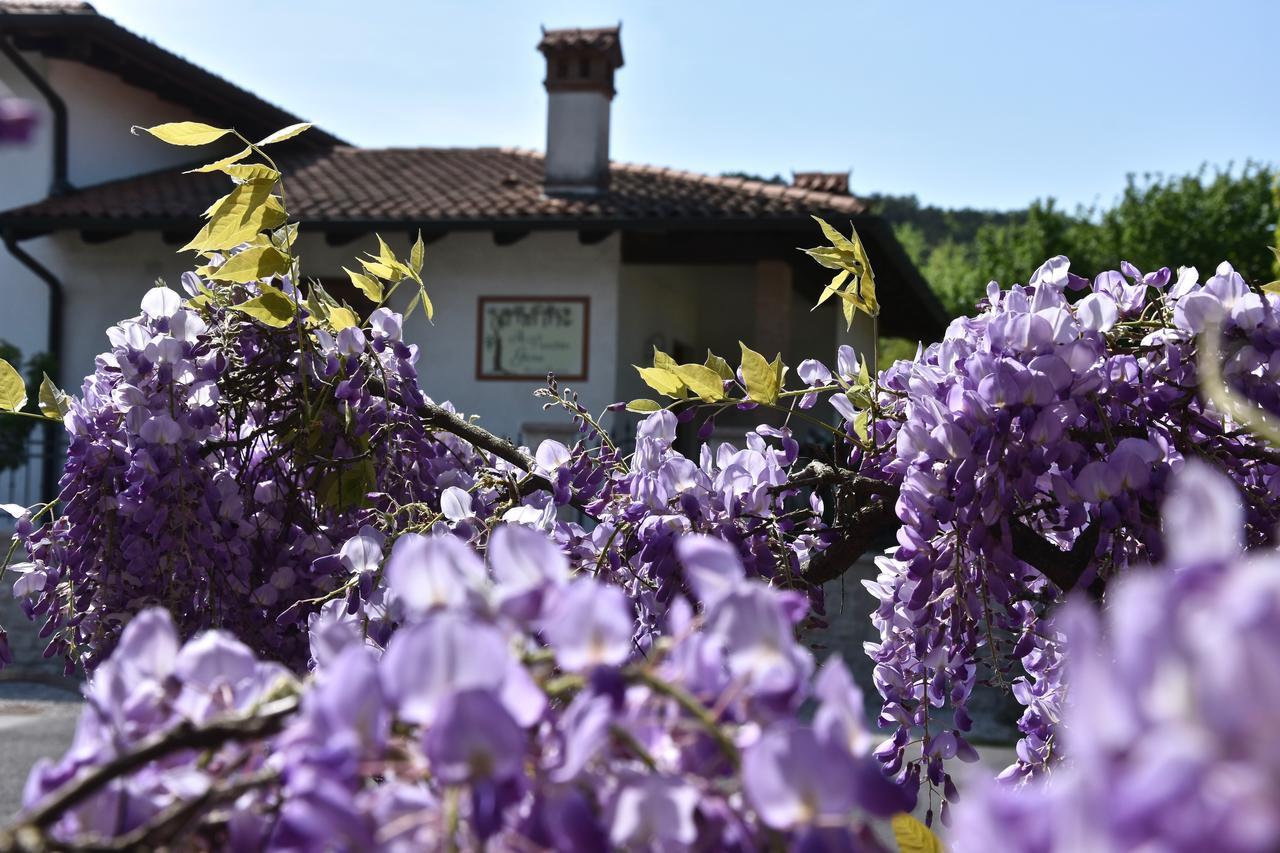 Bed and Breakfast Al Vecchio Glicine à Gábria Extérieur photo